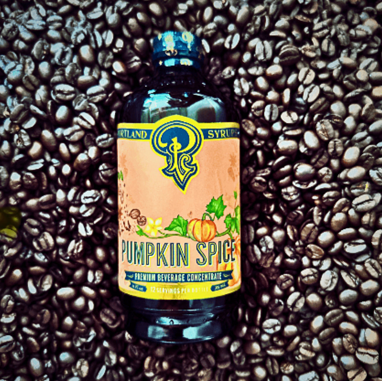 Portland Syrups Pumpkin Spice Aviation Coffee